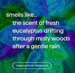 foaming hand wash – eucalyptus + rosemary, 10 fl oz - Image 4