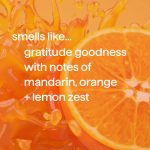 body wash – gratitude goodness, 18 fl oz - Image 4
