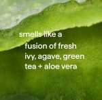 green tea + aloe foaming hand wash 3-count bundle - Image 3
