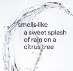 sweet water gel handwash starter set - Image 3