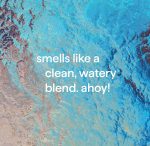 dish soap – sea minerals, 18 fl oz - Image 4