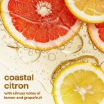 super shine foaming dish spray – coastal citron, 16 fl oz - Image 8