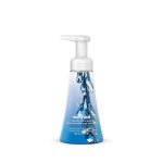 foaming hand wash – frost + flurry, 10 fl oz