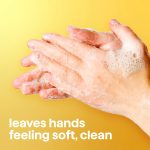 foaming hand wash – island nectar, 10 fl oz - Image 5