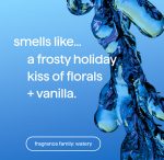 foaming hand wash – frost + flurry, 10 fl oz - Image 4
