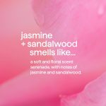 body + hair mist – jasmine + sandalwood, 8 fl oz - Image 5